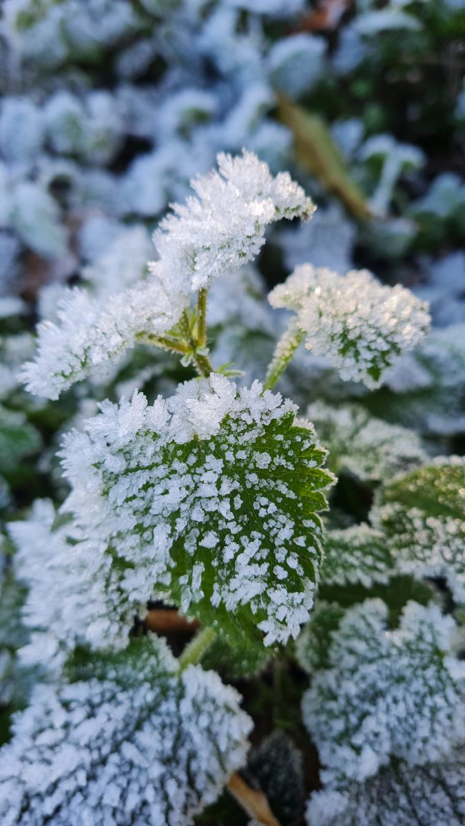 MissIgnateArt's tweet photo. Some more entries to the ADT December competition! Brief is photography with the theme 'Winter'! ❄️ https://t.co/qXPP47ICkr