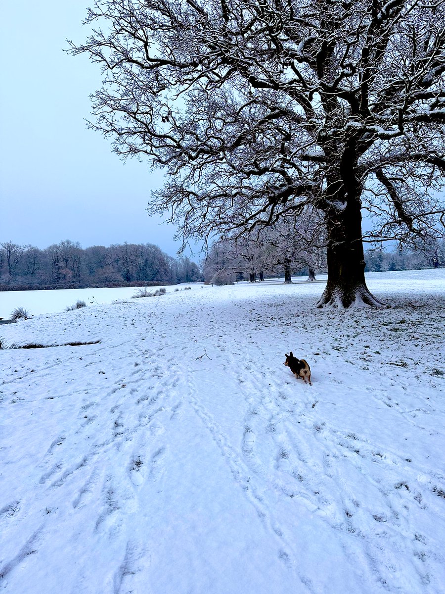 Love Bath tweet media