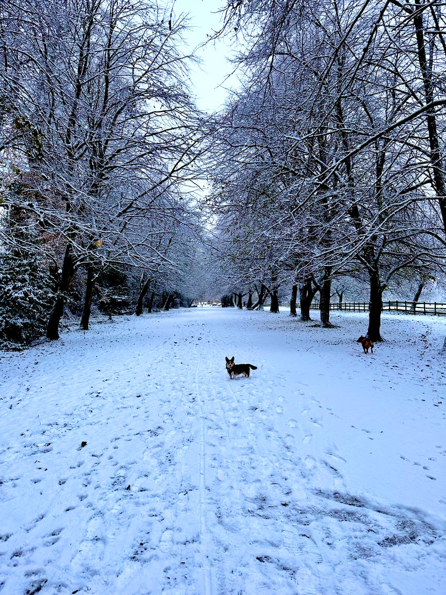 Love Bath tweet media