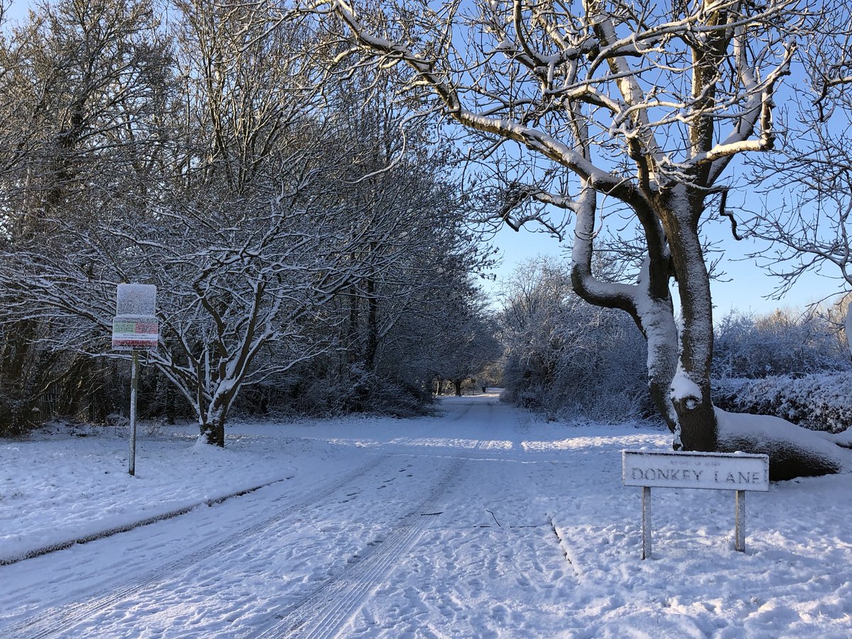 MissIgnateArt's tweet photo. Just beautiful ❄️📸 https://t.co/C1PB4Qo4fR
