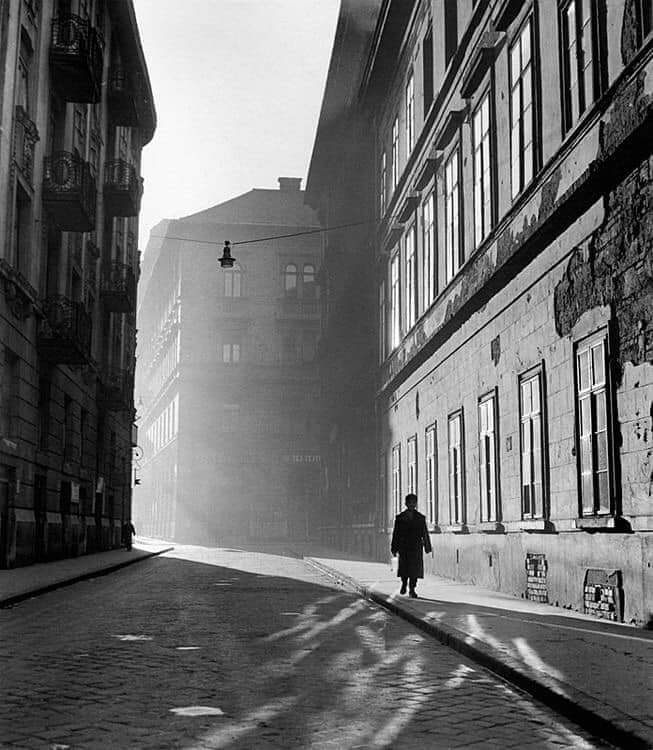 RvDalia's tweet photo. La estúpida gota del tiempo cayendo. (...)
La vida yéndose sin sentido. ¿Qué hice? ¿Qué fui? ¿En dónde estuve?

(Jaime Sabines)
📷 Kozak Lajos

Feliz domingo queridos amigos. https://t.co/zsYARaZEGT