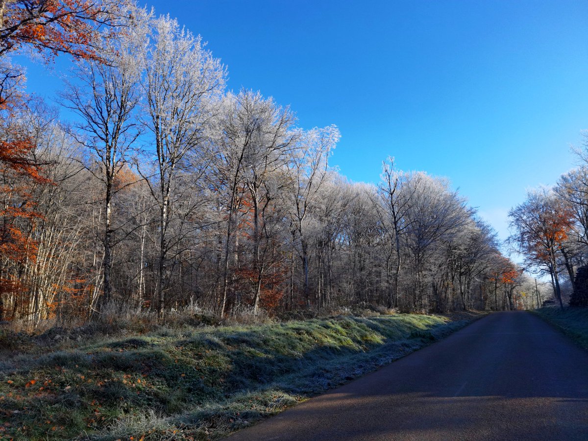 mascia_thibault's tweet photo. Après les fortes #gelées de la nuit (-8 à -9°C ) et avec la levée des nuages bas, les reliefs ( commune de #Semarey #CôtedOr ) dévoilent de magnifiques paysages givrés sous un grand soleil ❄️☀️ https://t.co/hHJQwVGxfm