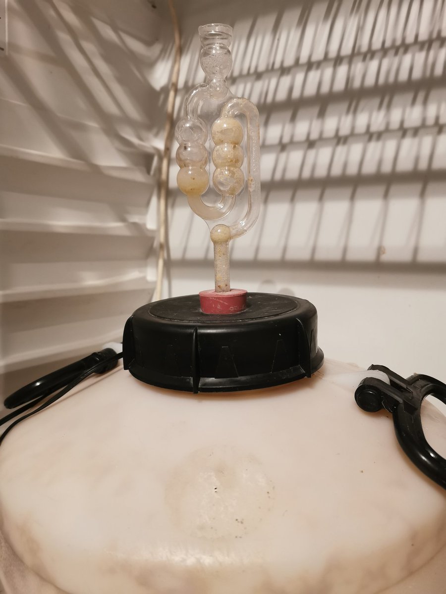 Saiѕσηѕ ιη тнє Abуѕѕ tweet media