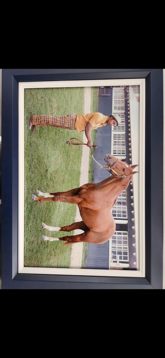 wilmiranda85's tweet photo. @CWosicki @CDCHistory After his win at the Belmont stakes I have I believe photp taken by Mr Steve Haskin I have one with a different pose https://t.co/3yDJ161Nbp