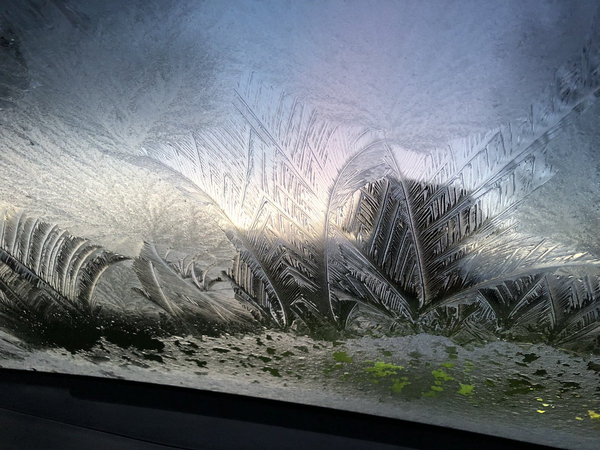 healingcentred's tweet image. Car windscreen this morning for early mum taxi run. 
#icepatterns #ice #pretty #winter