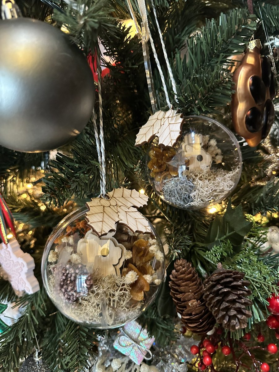 mistyblu23's tweet photo. Picked up more custom goodies from @C_mingkuang 🤩. Loving my @PixelTigers and @KaijuKingz Christmas Baubles. 😍

Check out more of his #NFT  art at @LayeringNFT 🔥
#KaijuKingz #SGKK #PixelTigers https://t.co/FWTUiQPTNH