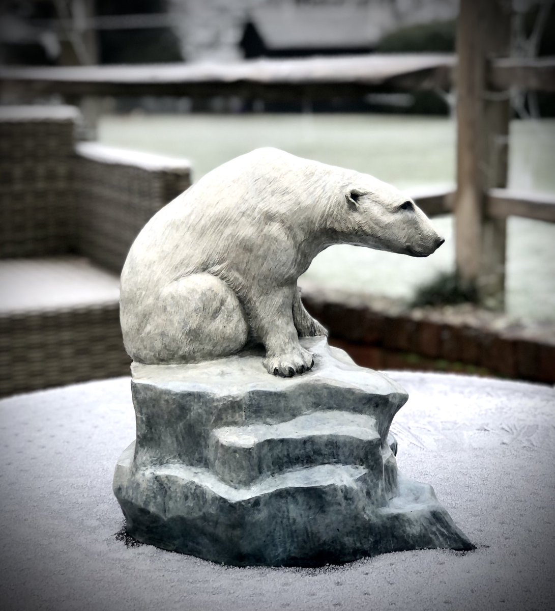 Rosamond Lloyd tweet media