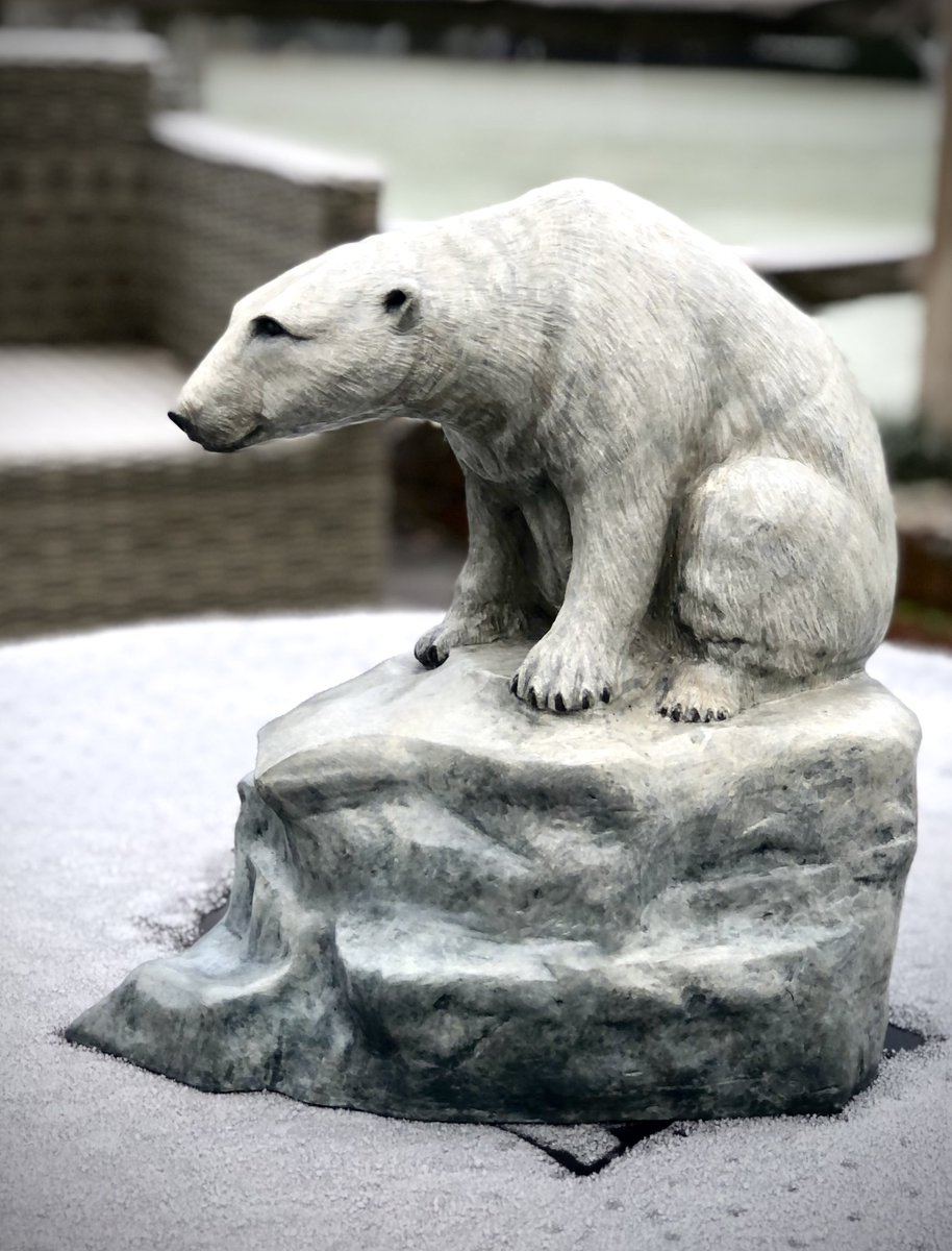 Rosamond Lloyd tweet media