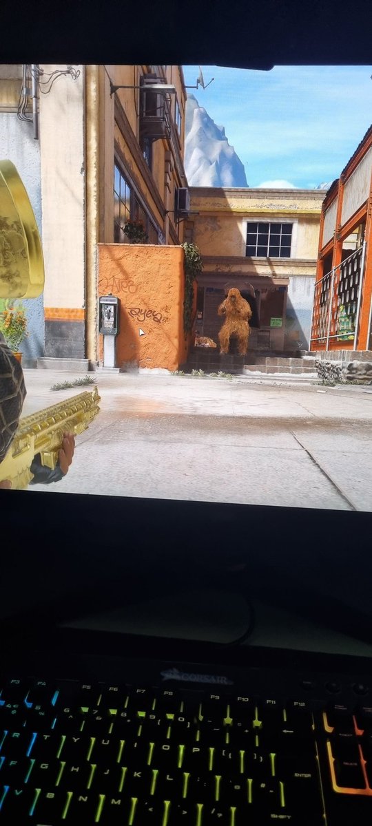 Average_Gamerz tweet media