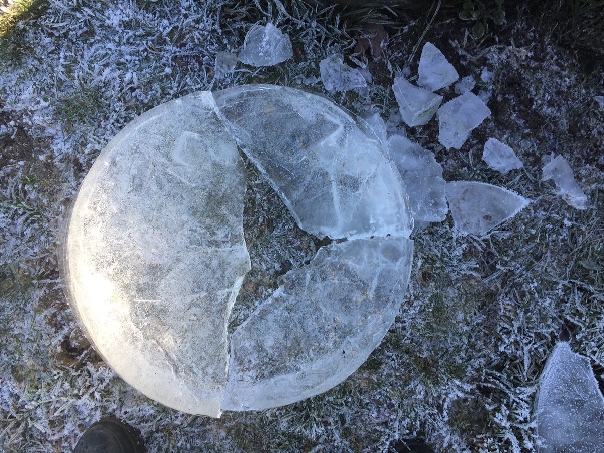 Fallen moon &amp; all her starry, shattered pieces … a celestial sparkle  on the grass, a trough’s water reached &amp; summer’s meadow hay delivered in armfuls. The frost-needle seeip from redwings &amp; the ratcheting chakker of fieldfare, pulling the moon back into up the sky.