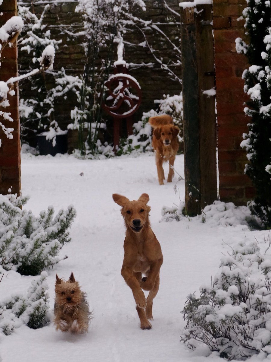 Monty Don tweet media