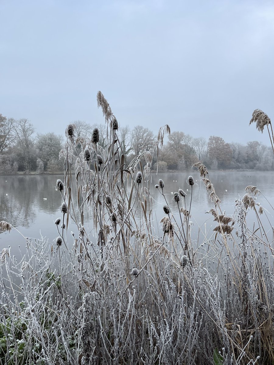 Winter feel in Tonbridge today with <a href="/lilyseraphina/">Lily Temperton</a>