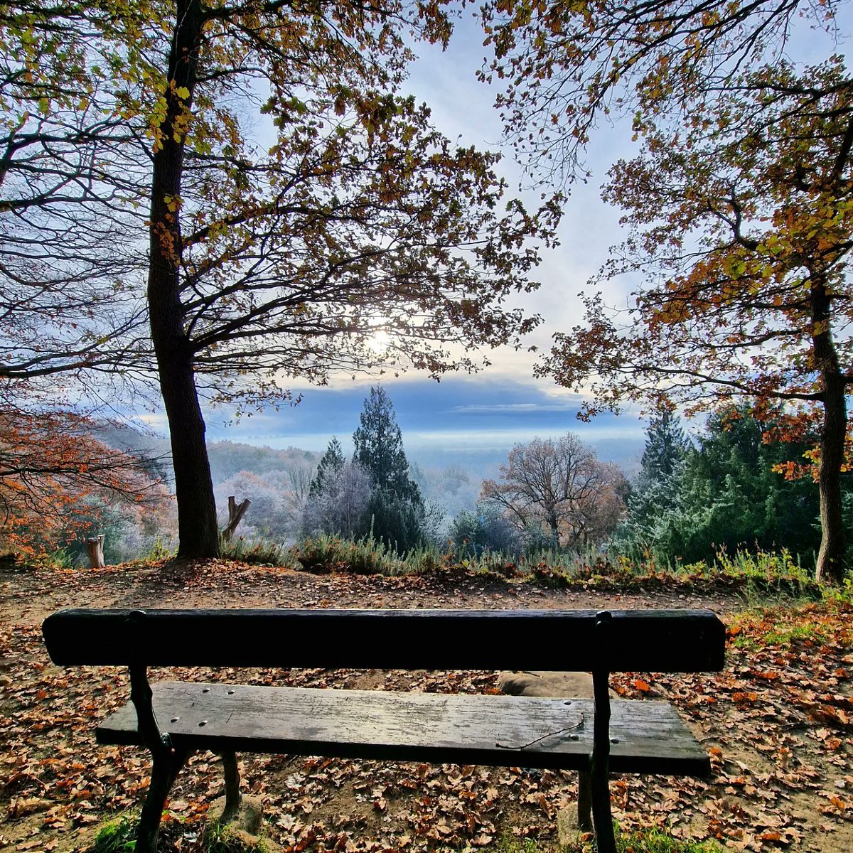 Love the frosty views...
#TunbridgeWells