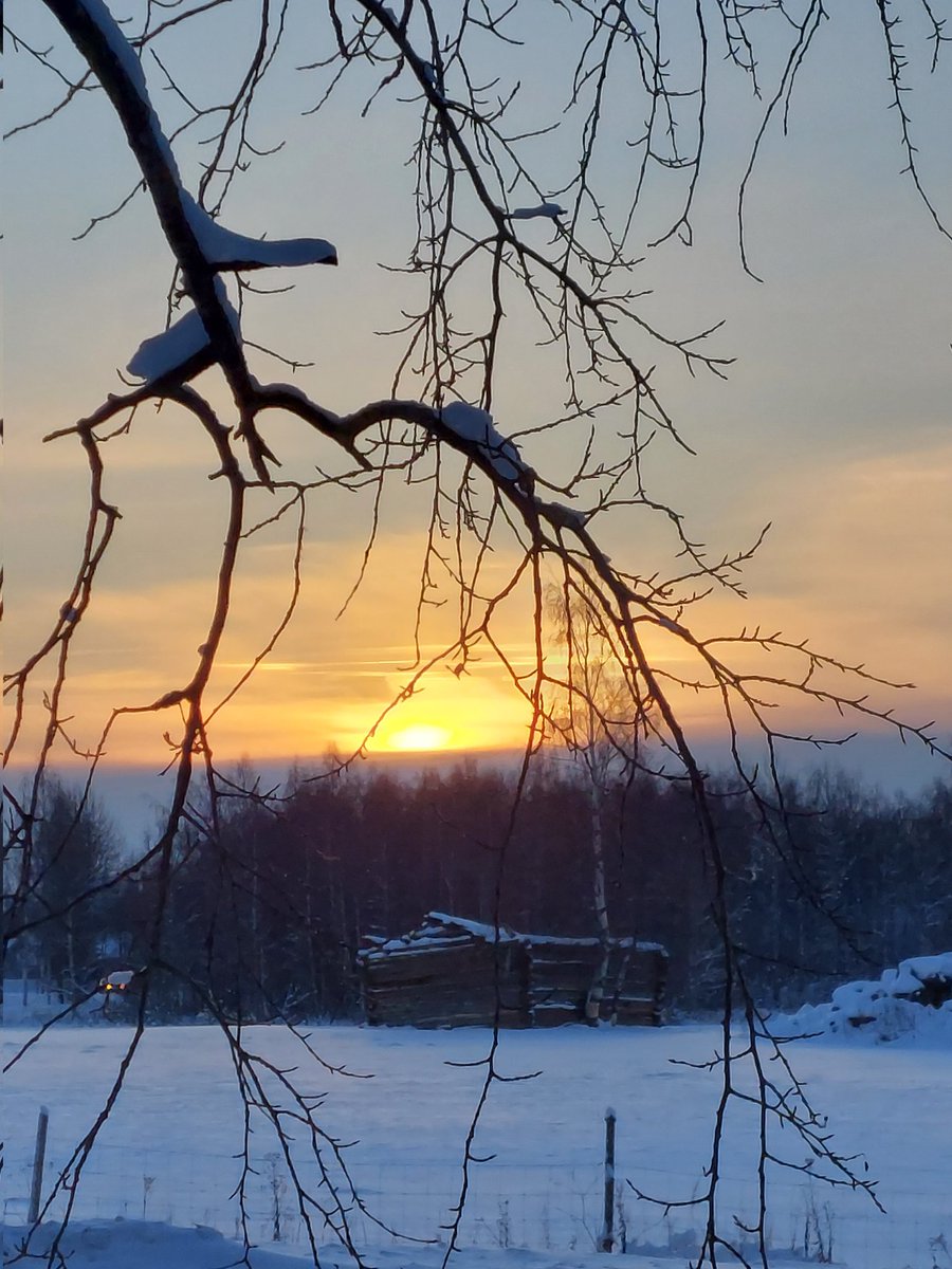 HoitolaLeena's tweet photo. Kaunista, -6C ja pieni viima. Auringon säteet aukaisevat sydämen. Lämmittää ihanasti 💛 #aurinko #valo #talvi #viima #pakkanen https://t.co/DksMaDCRny