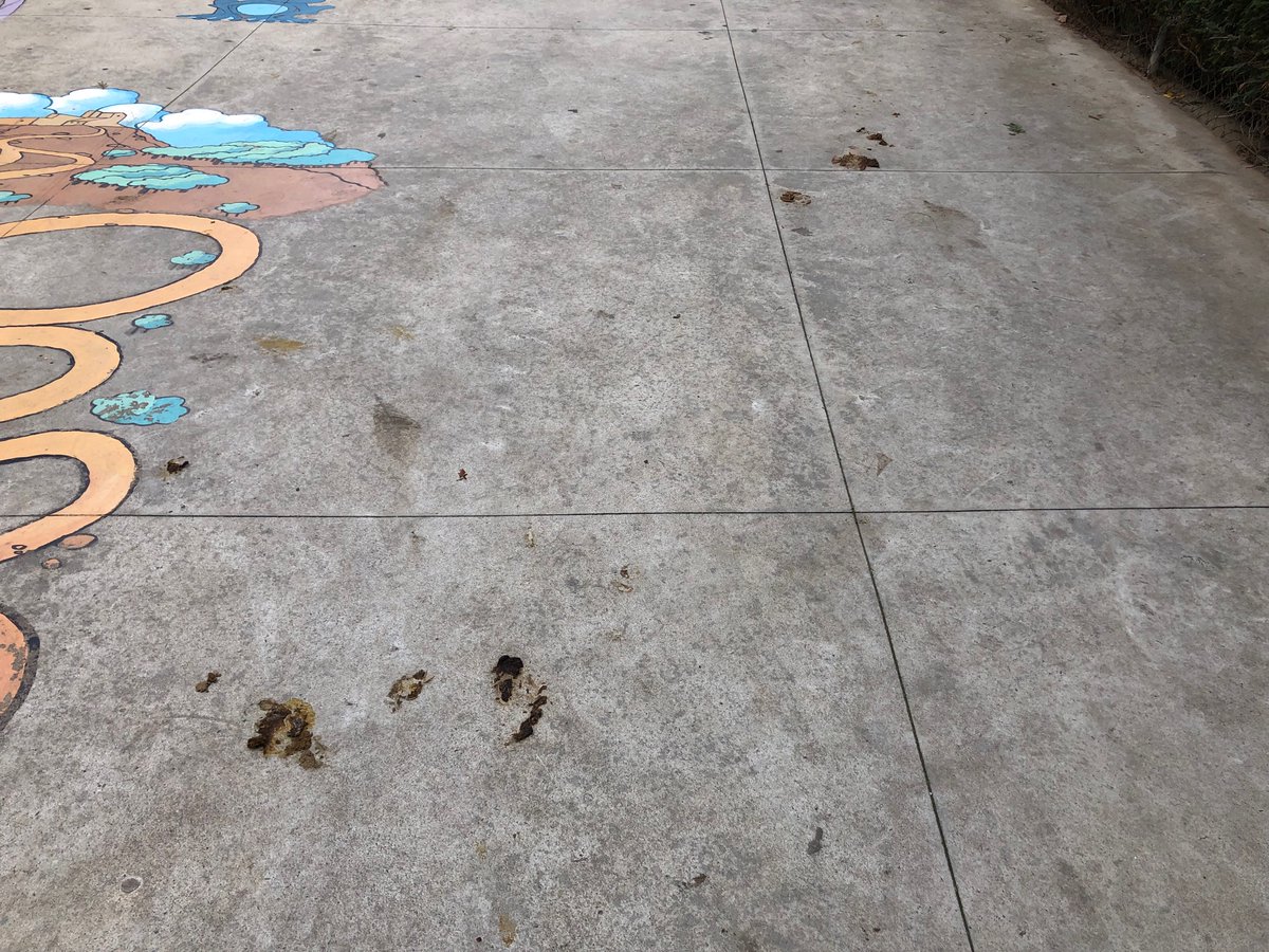 ignasi_castello's tweet photo. Benvolgut Sr. Alcalde:
Fins quan els veïns del C/Telers haurem d’aguantar un carrer que és com un femer d’excrements de gossos de propietaris irresponsables i incívics? Si us plau posi-hi solució. Gràcies https://t.co/RE6WiHboby