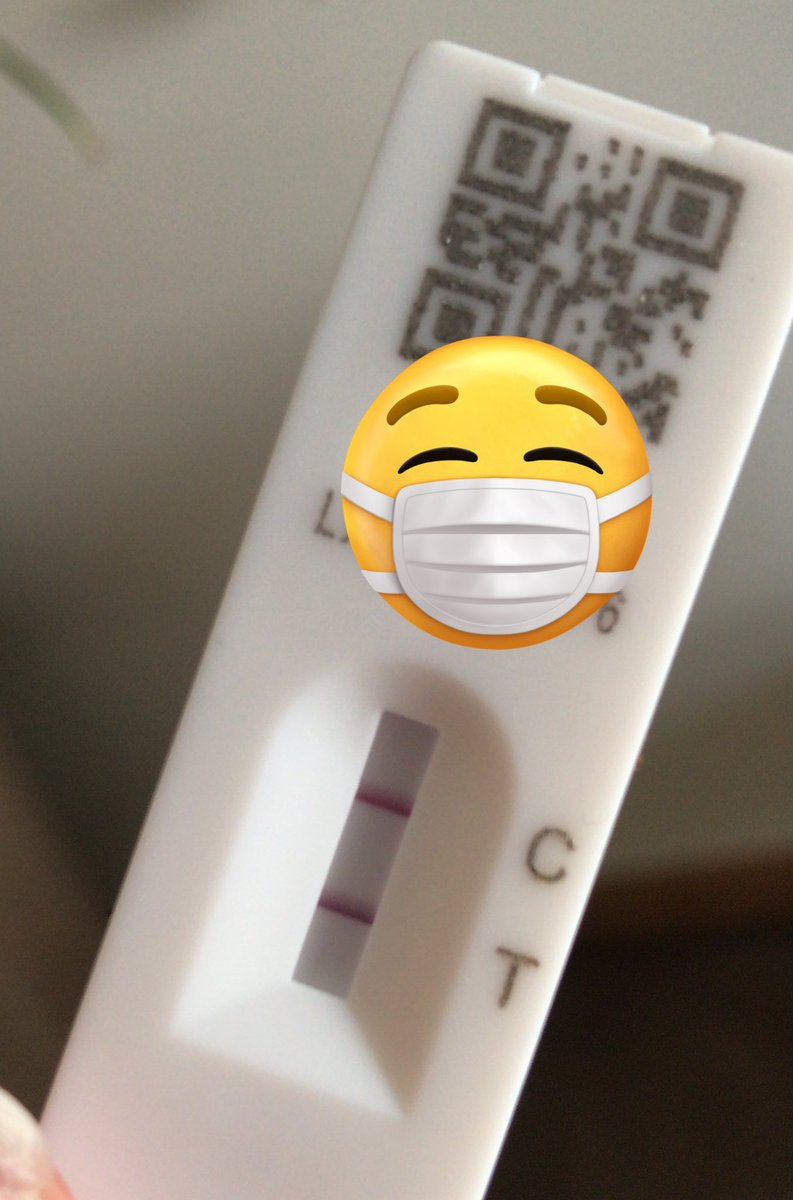 Cool, cheers COVID, absolutely perfect timing….

Happily stocked up on crisps - and not feeling as hideous as last time - but film and box set recommendations (cheery ones) v welcome