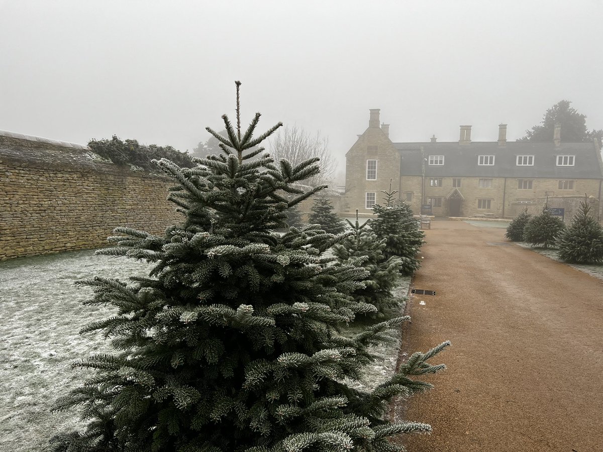 ❄️🎄☃️

A very frosty winter morning on the Estate! 

#ChristmasatChesterHouseEstate