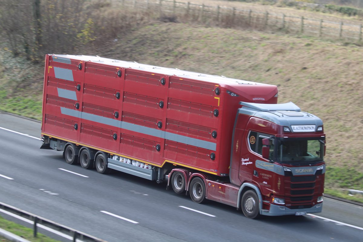 R.A. Thompson's Platinum 4 Deck Livestock Transporter spotted on the #M6 in South Cumbria.

📷by Thomas Salkeld

#houghtonparkhouse #livestock #livestocktrailer #livestocktransport #livesockhaulage #livestocktransportation <a href="/ScaniaUK/">Scania UK</a>