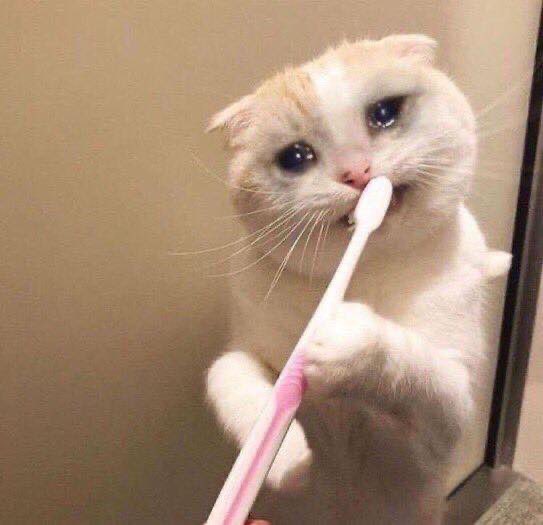 ____sarinha_'s tweet photo. me arrumando pra fazer o pas 3
#pas #pasunb #pas3 https://t.co/QAHrvn4NLA