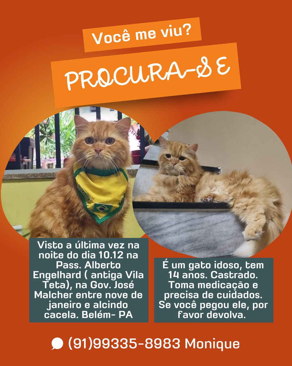 moniqueleao's tweet photo. Gente me ajudem dando RT. Tô desesperada 😭 https://t.co/EODVN5yUgg