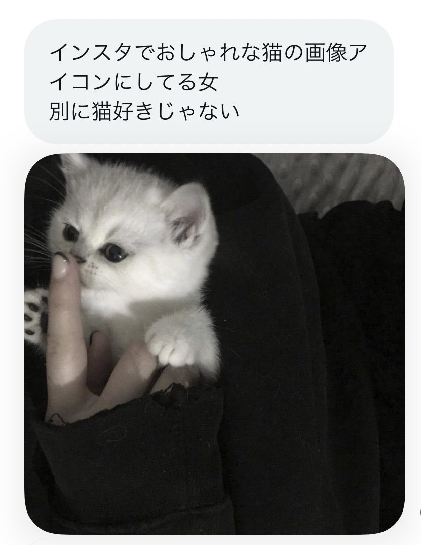 O Xrhsths ハリーポッターbot Sto Twitter 1987年8月8日は チョウ チャン役のケイティ リューング Katie Leung さんが生まれた日です お誕生日おめでとー ヾ Gt Lt ﾉﾞ 今日は何の日 T Co Nsih1ooyyl Twitter