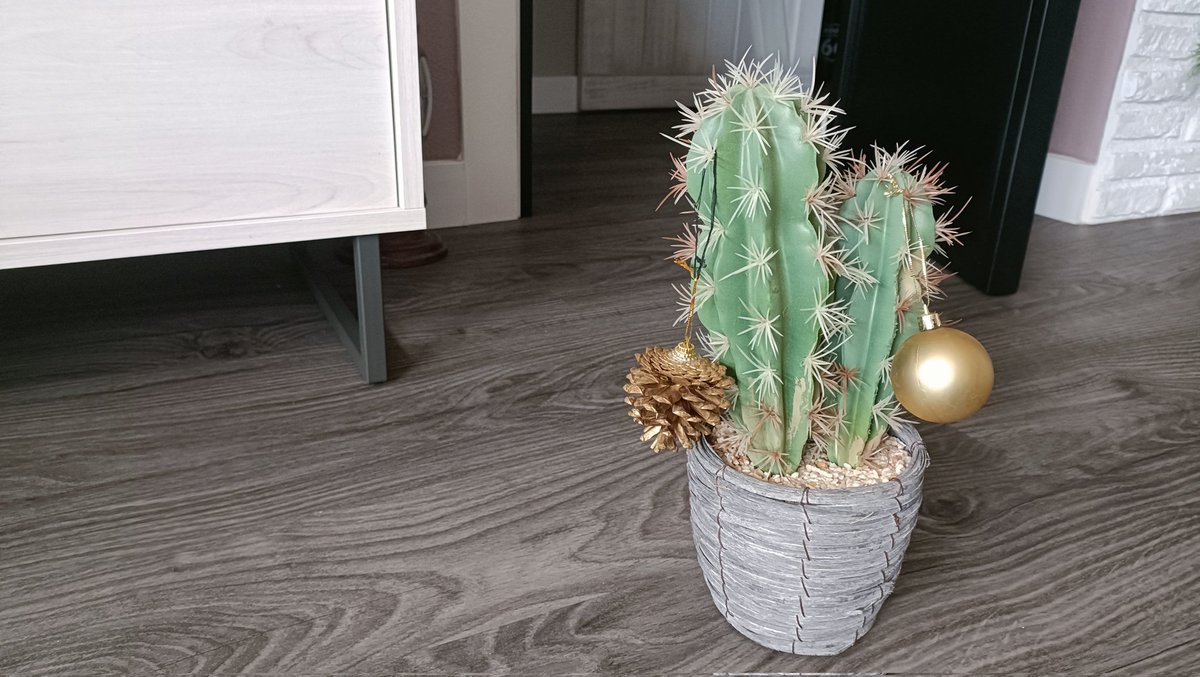 Gsus_4.3🎲 tweet media