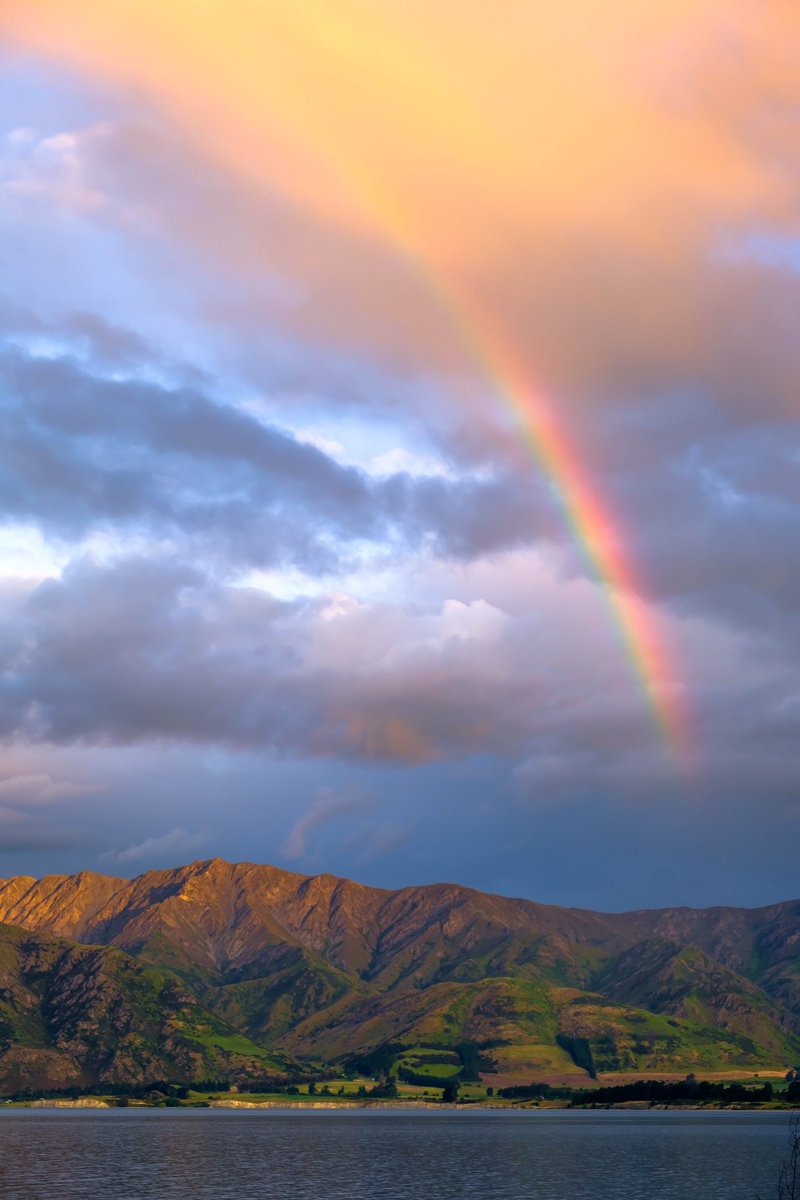 Che Wei (Jacky) Lee tweet media