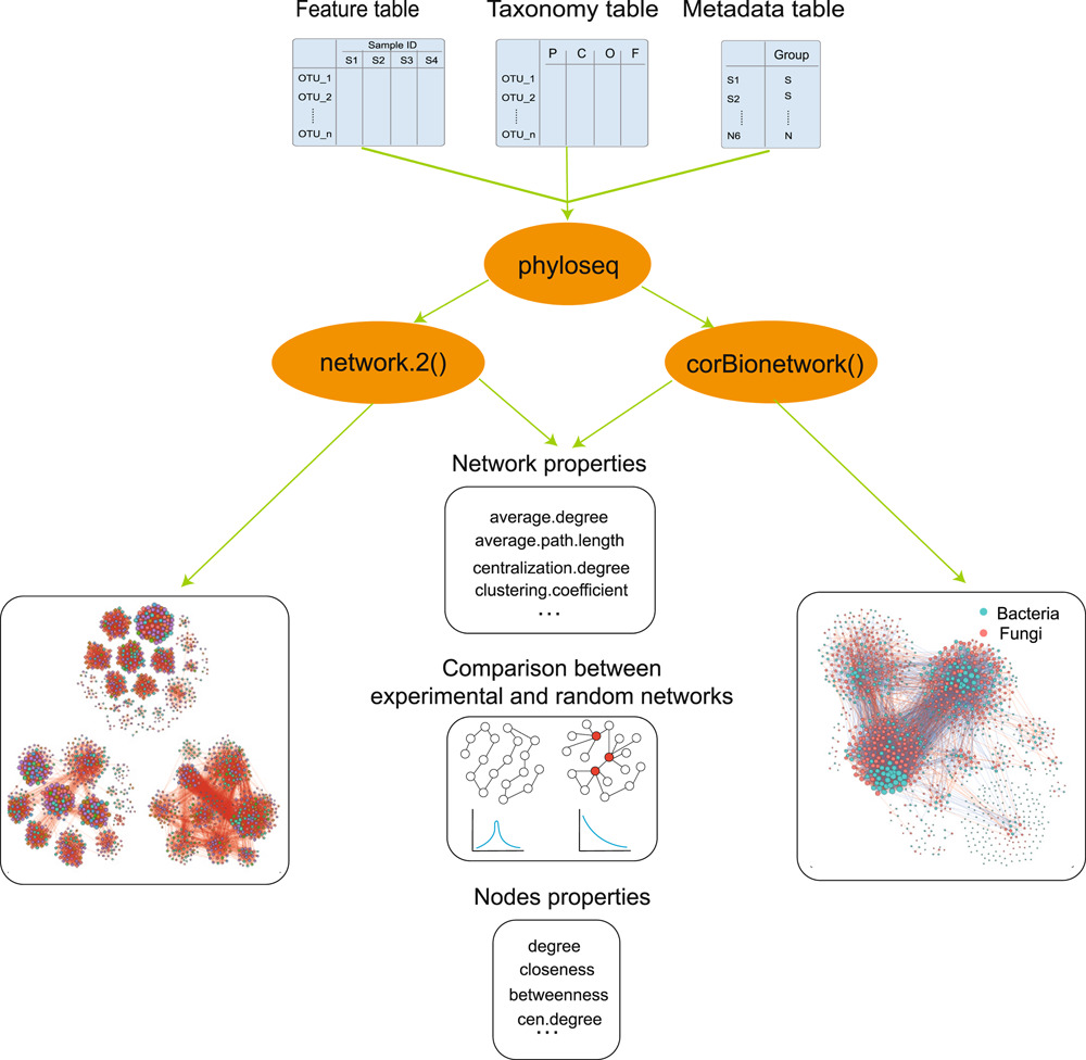 iMetaScience's tweet photo. ggClusterNet: An R package for microbiome network analysis and modularity‐based multiple network layouts, developed by @TaoWen82417266 @YongXinLiu7. 
#bioinformatics #microbiome #metagenomics #network #RStats 
@wileymicrobio @wileyinresearch  https://t.co/OJtP6QHYAQ https://t.co/HWxTDuY8dT