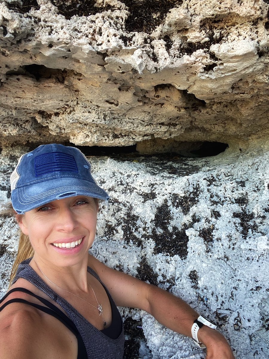 TCI Seabirds tweet media