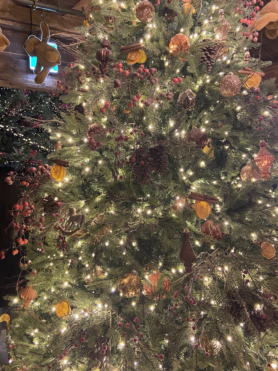 secondzero22's tweet image. 🎄🎄🎄