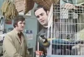 BigJMcC's tweet photo. #NSHealth #DeadParrots https://t.co/ENkcYnxFEq