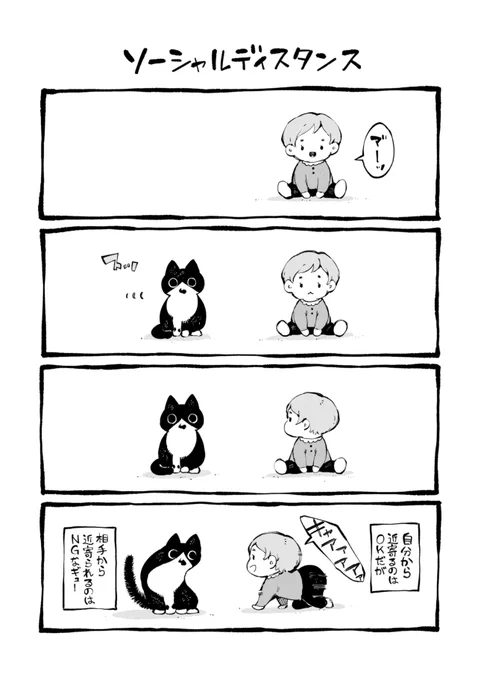 猫と赤ちゃんのソーシャルディスタンス 