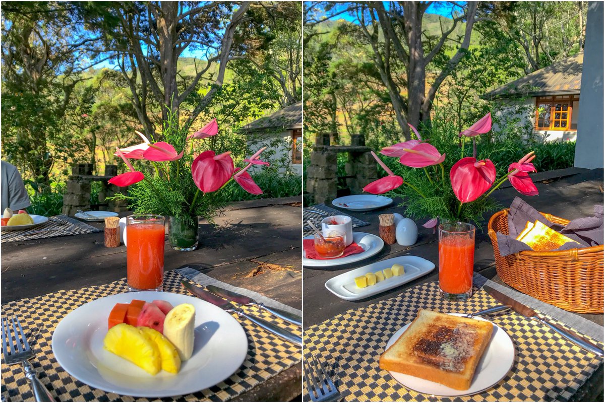maduuz_diary's tweet photo. Location📍 Jetwing Warwick Gardens

#travel #food #foodie #foodblogger #foodlover #jetwing #jetwinghotels #jetwingwarwick #jetwingwarwickgardens #SriLanka #srilankatravel #srilankanfood #visitsrilanka https://t.co/k2TOyfvliT