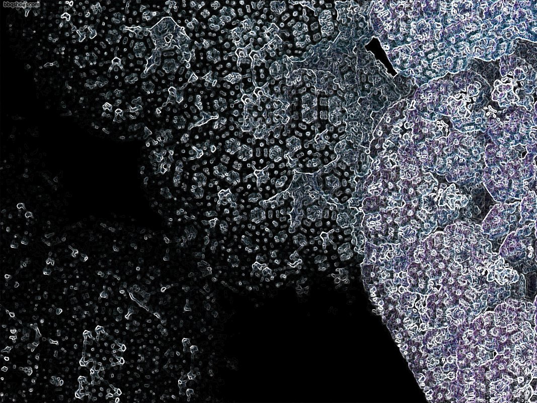 You're Losing Connection #ThursdayThoughts #ThursdayVibes #TrippyThursday #FractalNoise 

mastodon.art/@bbqshoes