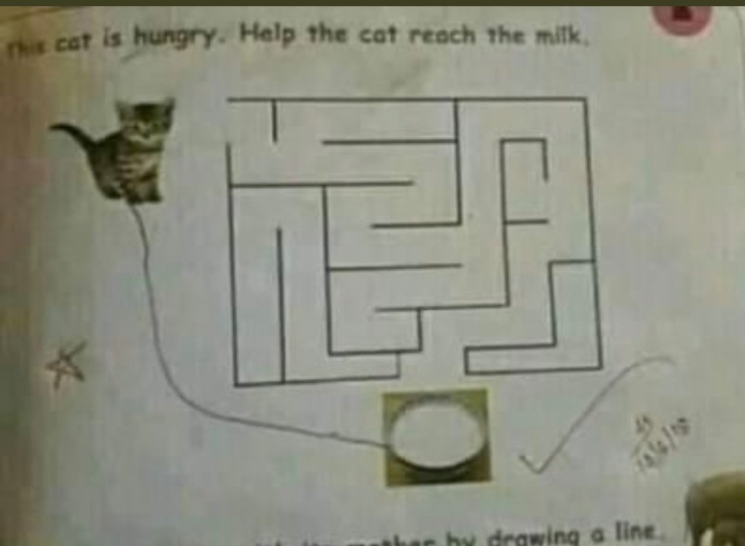 BigBrainPost's tweet image. 