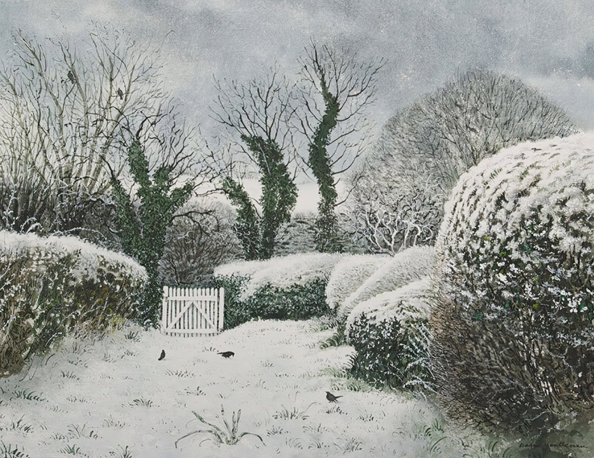 Suffolk Garden Under Snow by the wonderful David Gentleman, watercolour, 2008.