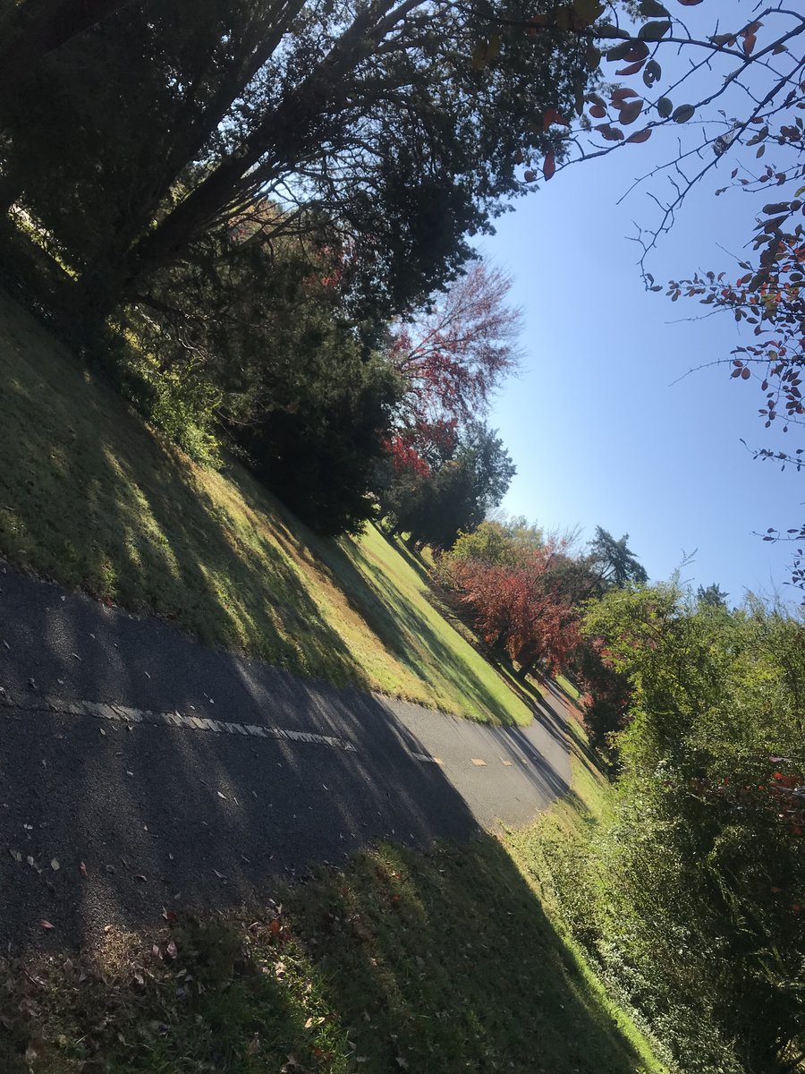 DSeeRider's tweet photo. 208
@MtVernonFriends @mountvernontrail #mountvernontrail #wilsonbridge
@Wash_cycle @WABADC https://t.co/vj1ogMZbLR