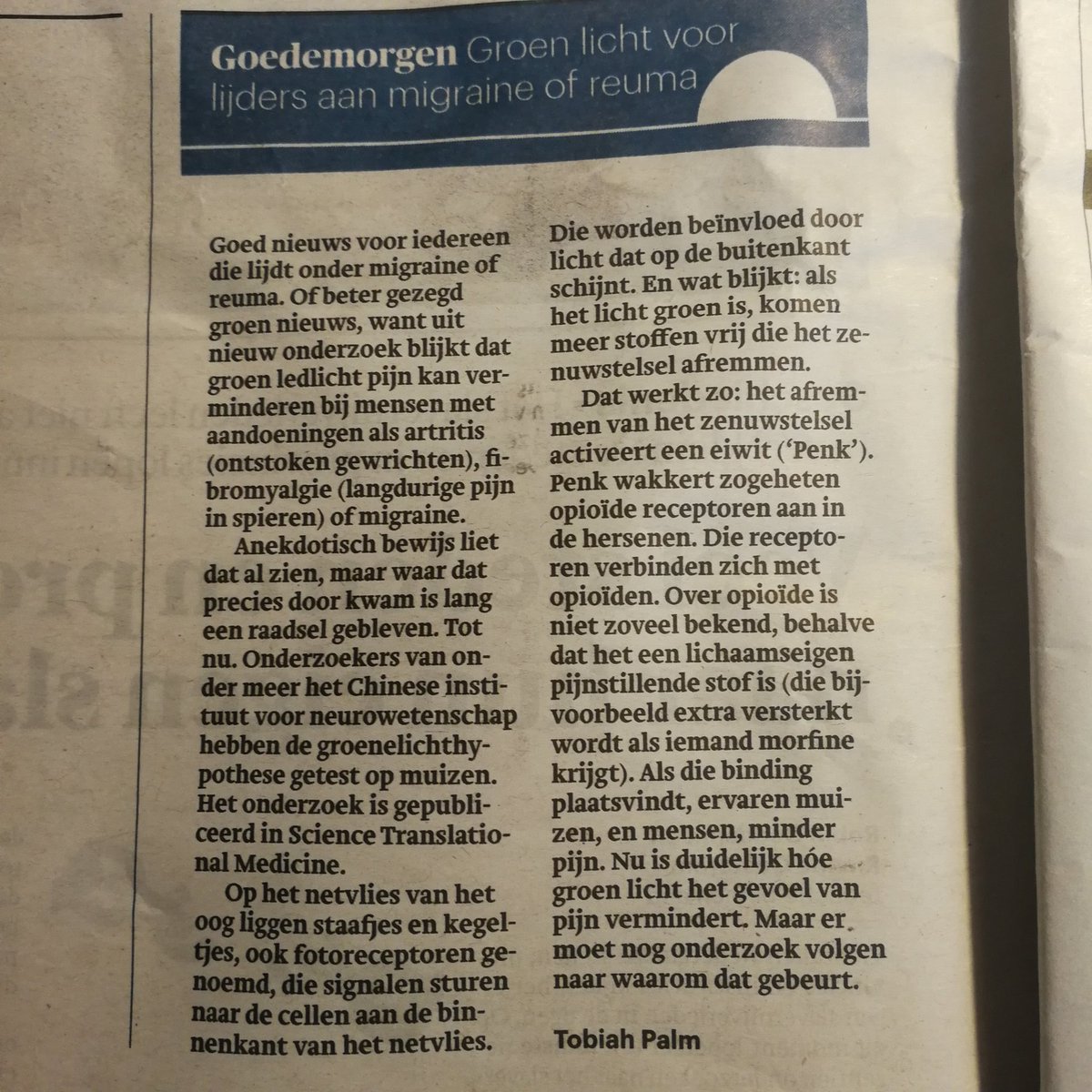eilandmojo's tweet photo. Groen licht werkt pijnstillend #penk https://t.co/ufelxyd7eM