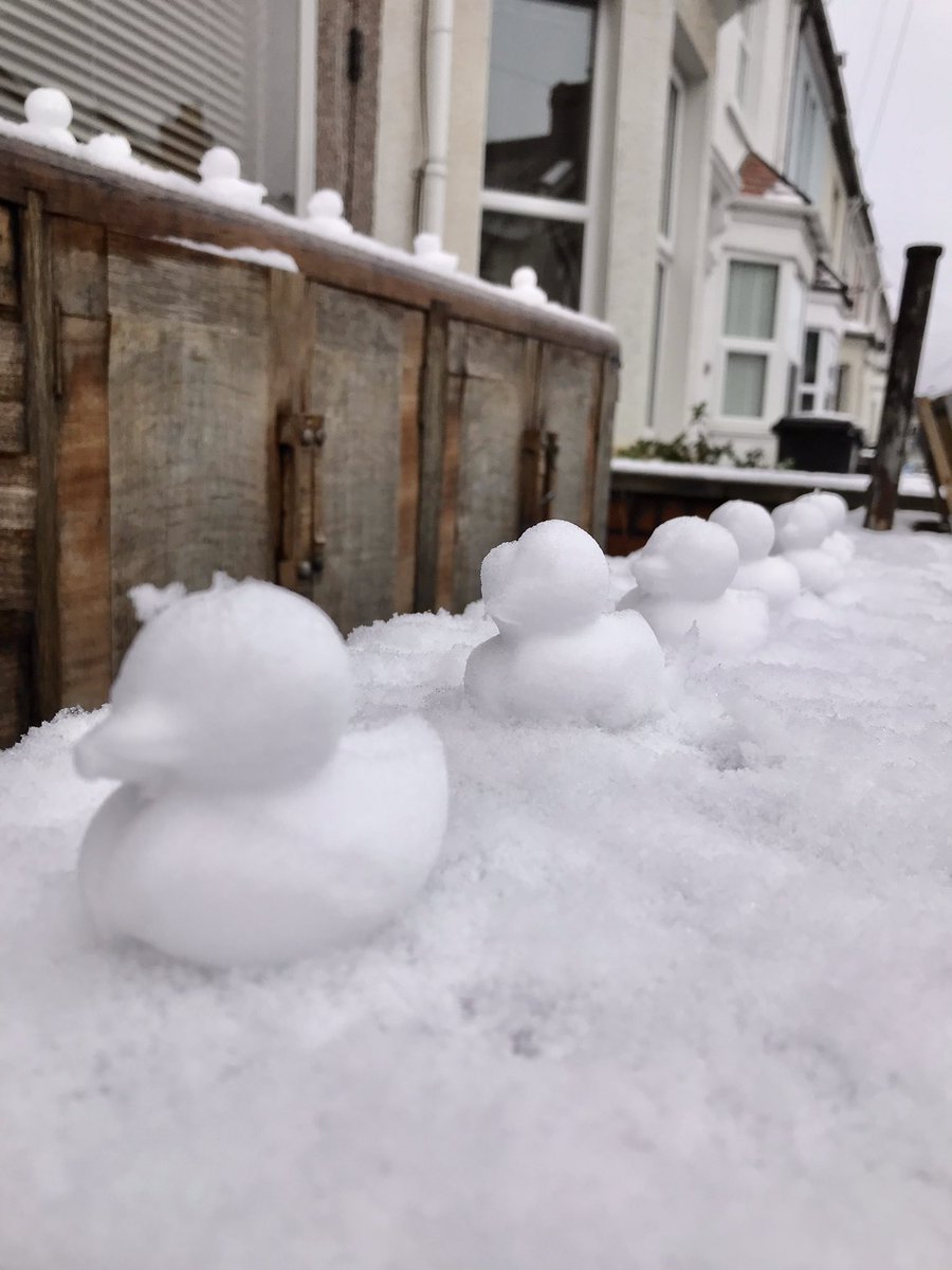 When you leave the house to find out you’ve been magically snow-ducked!!! ❄️ ❄️ thanks <a href="/1000dawns/">Movietone</a> ♥️