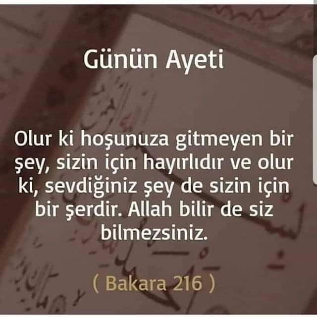FatmaEkmen13's tweet photo. Her daim . https://t.co/4TaazVaEBy