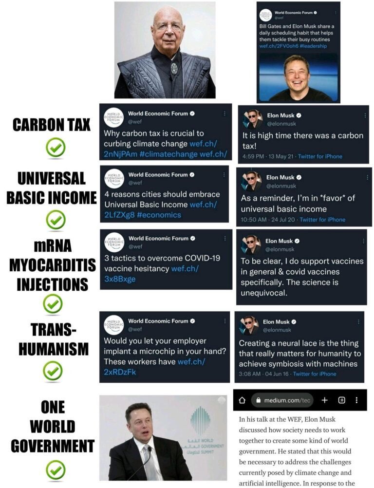 Adam tweet media