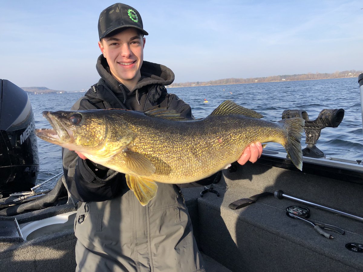 It’s gold mining season on Lake Ontario #majorimpactguideservice #experiencelakeontario #bayofquinte #walleye #fishing #fallfishing #walleyefishing #exploreontario #ontario #fishwithapro #fishingguide #toronto #vetransfishing #guidelife #rapala #crestlinerboats #goldmining #fish