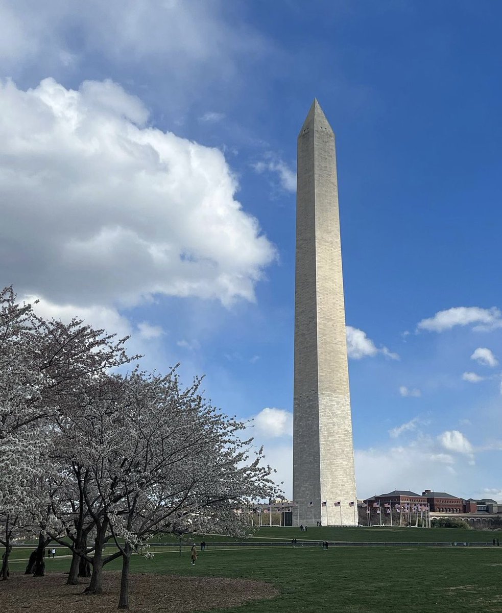 OfficalHaileyLe's tweet image. 