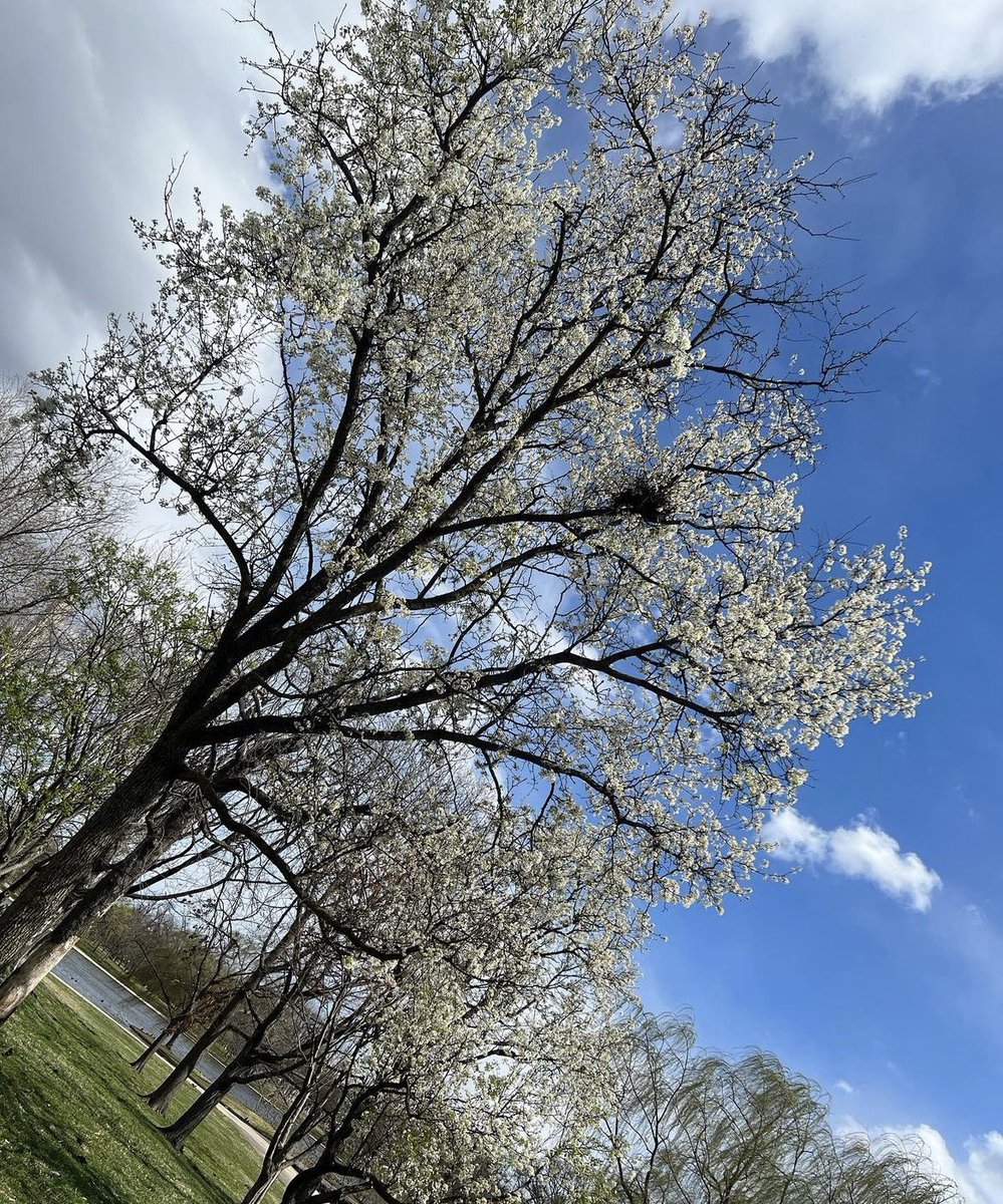 OfficalHaileyLe's tweet image. 