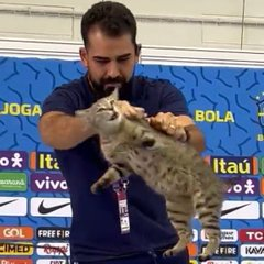 PortalDosTimes's tweet photo. 🚨URGENTE: Fórum nacional de proteção aos animais entra com ação judicial contra a CBF por caso de maus-tratos ao gatinho.

A multa será de R$ 1 milhão de reais. https://t.co/3ISmMrKPoF