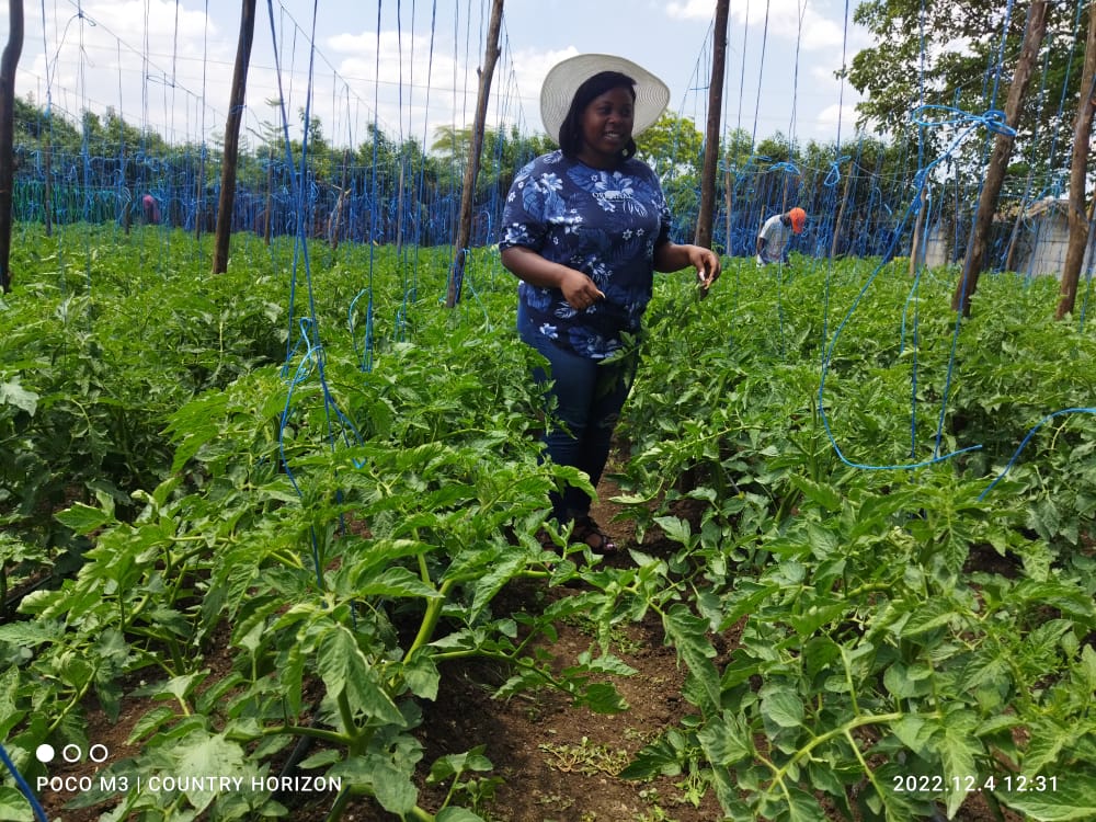 Today's picture 📸 

📍Farm visit Zimbabwe 

GFC Apprentice newly Isabel Mavudu   🎓 

It cost $0.00 to like,retweet and comment