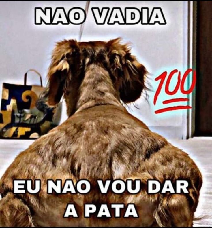 imacbdegen's tweet photo. https://t.co/OBDECsgxbT