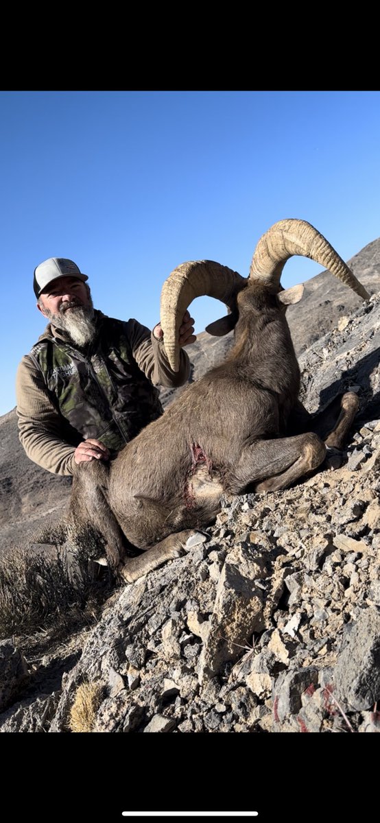 doan_trent9776's tweet photo. Finished my hunting season off with this solo hunt for Desert Sheep in Nevada. #eastmans #taghub #theeastmanslife #nofenceshere #myhuntstory #kryptek #sigsauer #savagearms https://t.co/ZZqvV46Gze