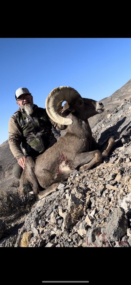 doan_trent9776's tweet photo. Finished my hunting season off with this solo hunt for Desert Sheep in Nevada. #eastmans #taghub #theeastmanslife #nofenceshere #myhuntstory #kryptek #sigsauer #savagearms https://t.co/ZZqvV46Gze