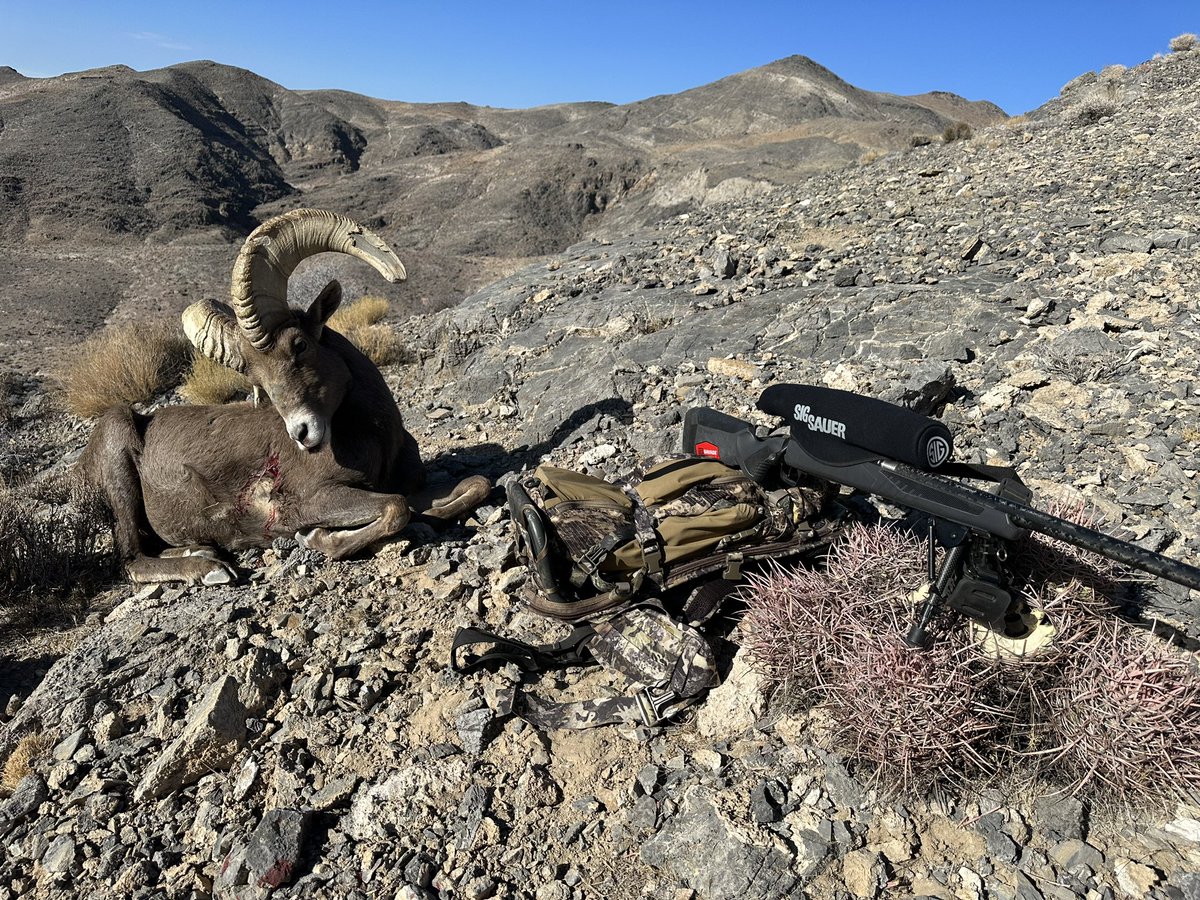 doan_trent9776's tweet photo. A couple more #eastmans #taghub #myhuntstory #nofenceshere #kryptek #eberlestock #sigsauer #savagearms #theeastmanslife https://t.co/lWGQGXk0EN